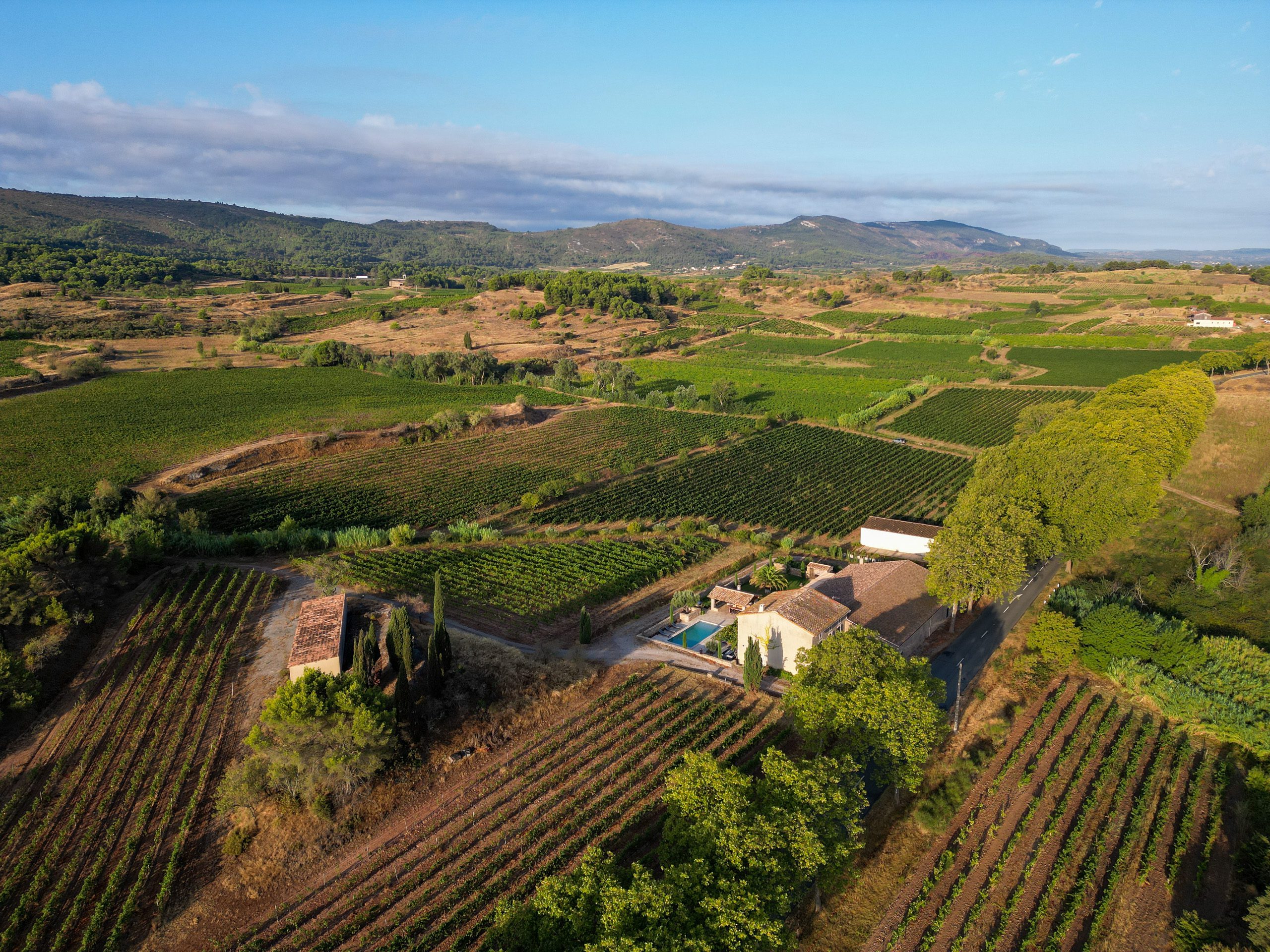 L’histoire viticole de Corbières et Minervois : un héritage de passion et de respect