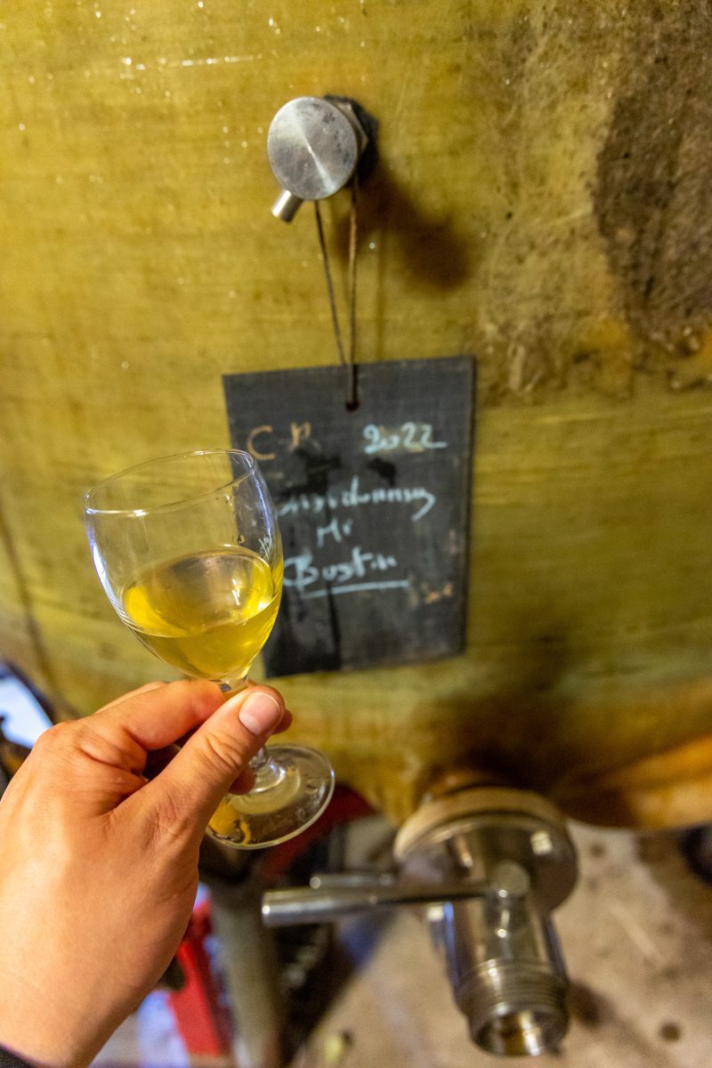 Chardonnay du Domaine de l'Apothicaire