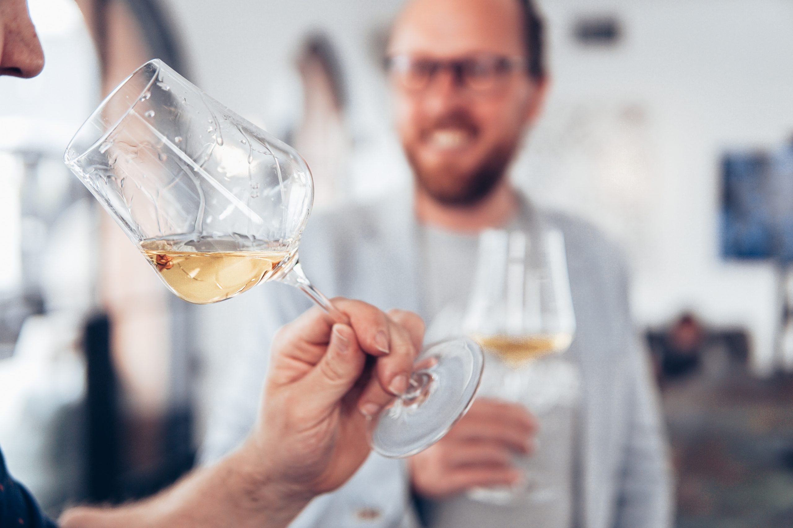Plongée sensorielle : 5 étapes clé pour savourer notre Chardonnay du Languedoc